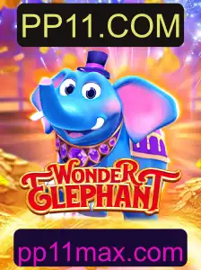 Explore o Fascinante Mundo de WonderElephant com PP11.COM
